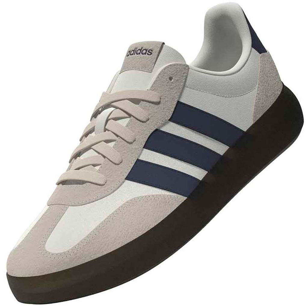 BARREDA DECODE SCHOENEN