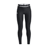 Armour legging