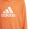 Future Icons Badge of Sport sweater met capuchon