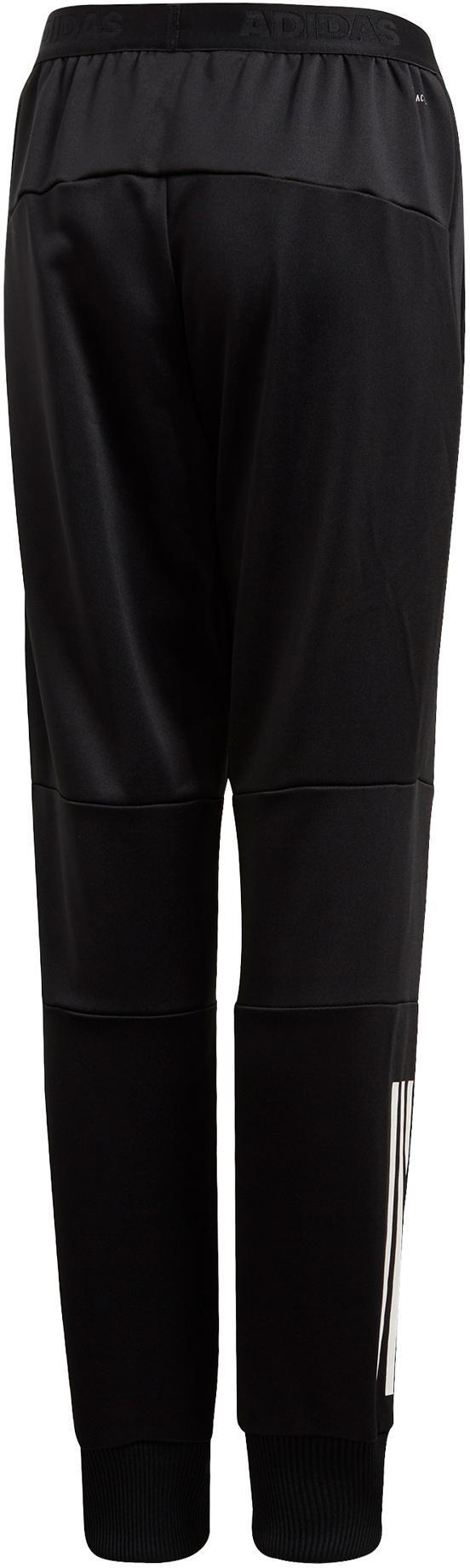 yb tr tap pant