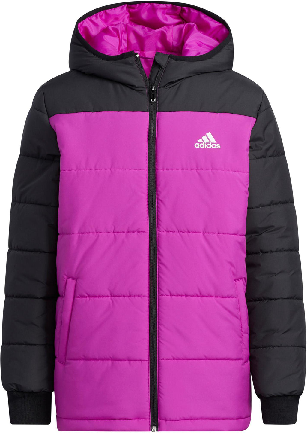 Padded winterjas