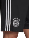 FC Bayern München 20/21 Derde Short