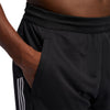 3-Stripes 9-Inch short