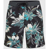 Hyperfreak Mysto Scallop 19 Bo Zwemshort