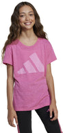 jg bl win tee
