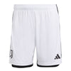 Juventus 23/24 uitshort