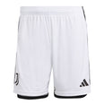 Juventus 23/24 uitshort