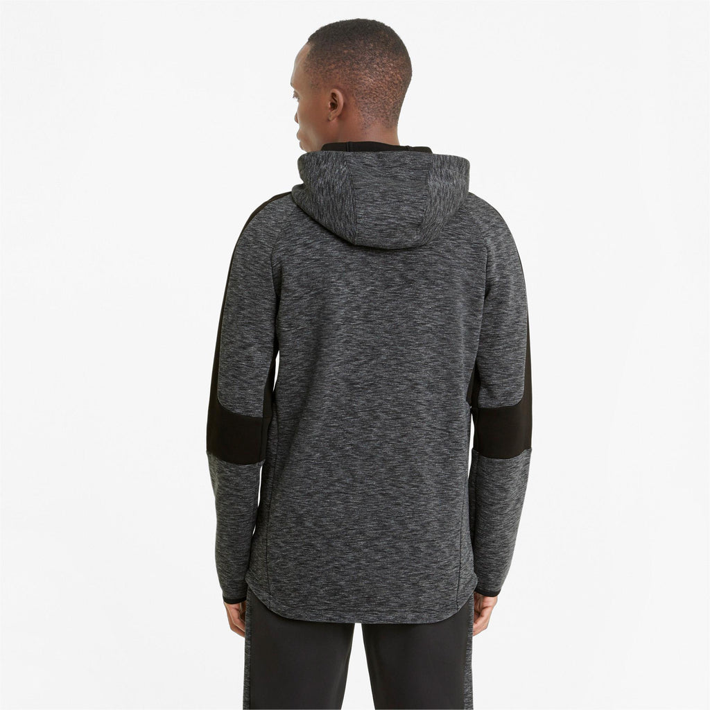 Evostripe Fz Hoodie
