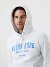 Stockholm hoodie