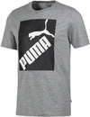 big logo tee