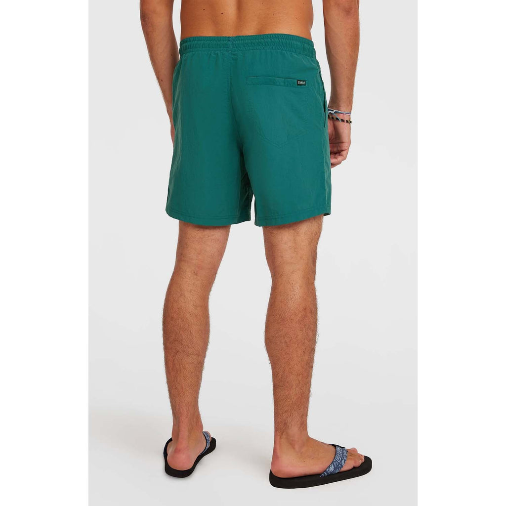 Vert 16 Zwemshort