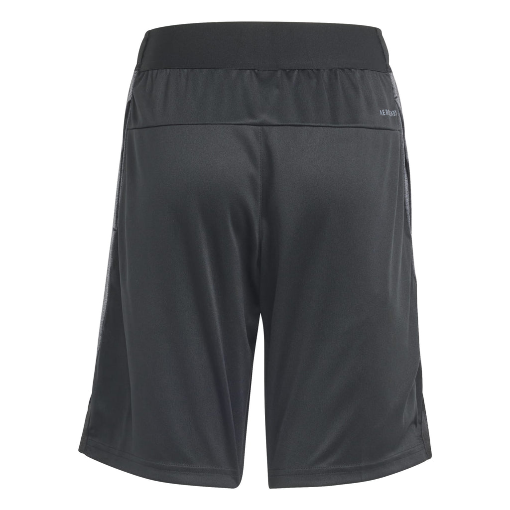 Training AEROREADY Heather short