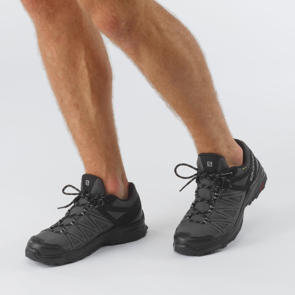 Leonis GTX wandelschoenen