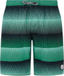 Prtray Jr Beachshort