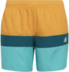 Yb Cb Shorts