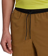 Terrex Liteflex Hikingshort