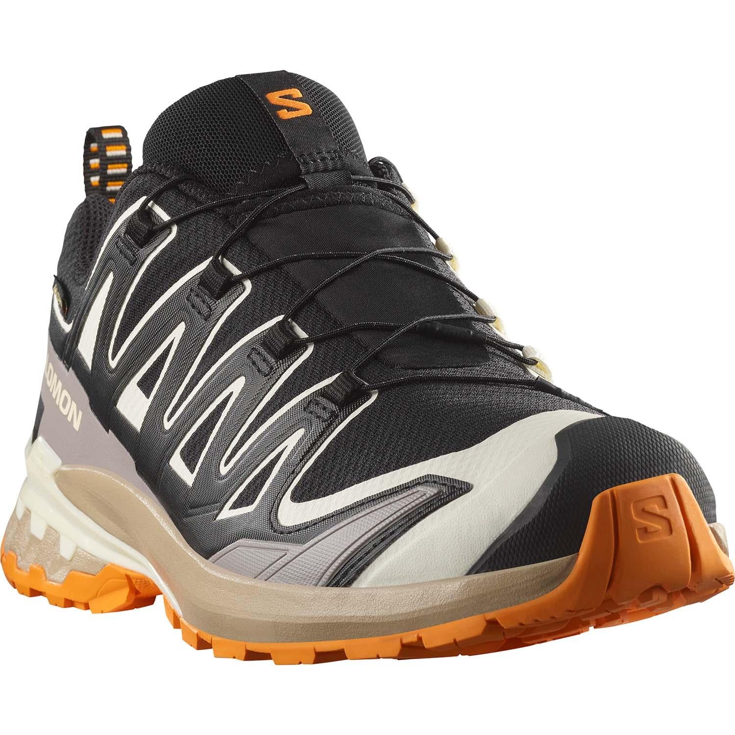 xa pro 3d v9 gore-tex