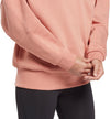 S Recycle Oversize Hoodie