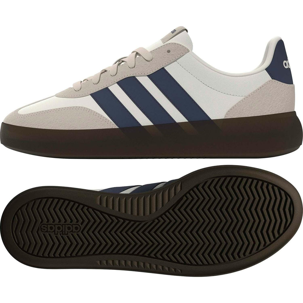 BARREDA DECODE SCHOENEN