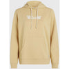 Essentials Script Hoodie