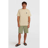 Hybrid Polygiene Graphi Shirt strand