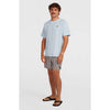 Originals Stripe 15 Zwemshort