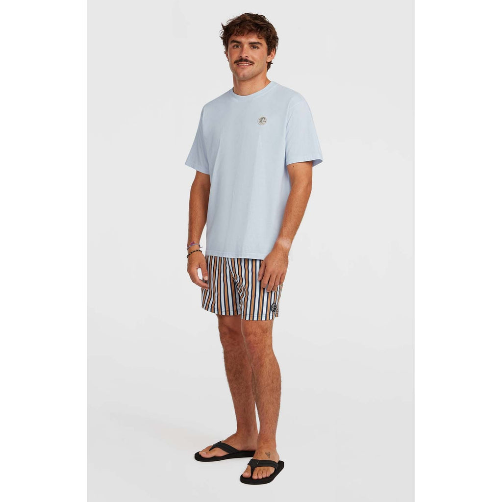 Originals Stripe 15 Zwemshort