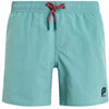 culture jr beachshort