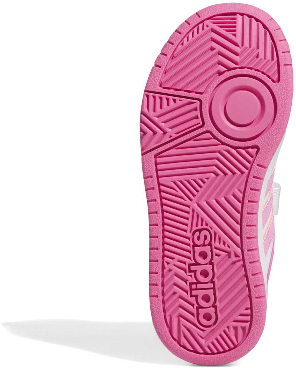 Hoops sneakers