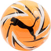 KA Big Cat Ball