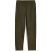 evostripe pants dk