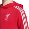 Liverpool FC Hoodie Kids