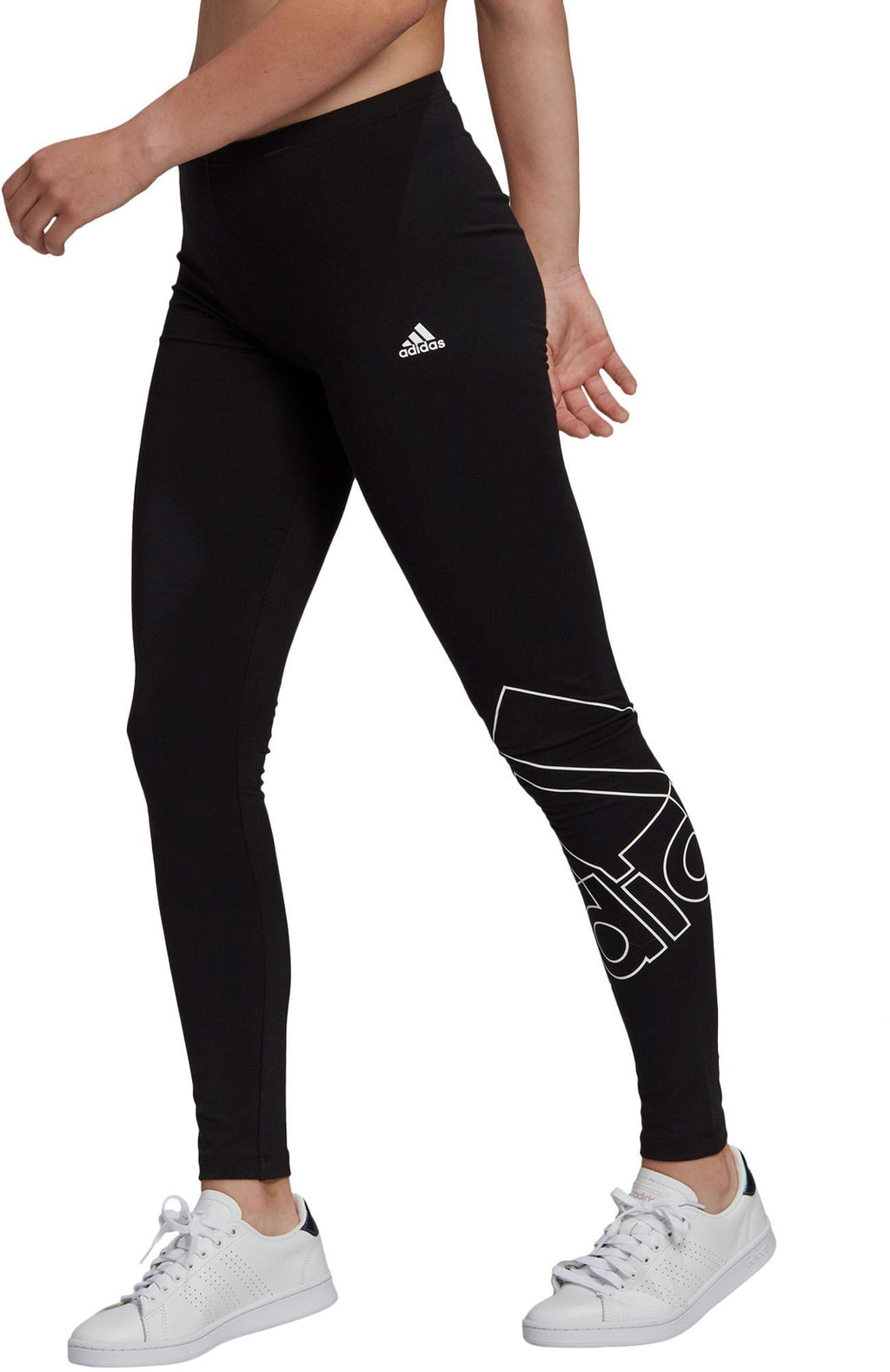 W Fav Q1 Leg