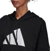 Sportswear Future Icons hoodie