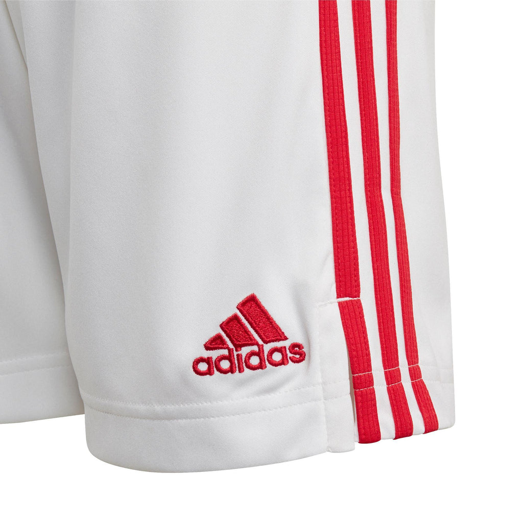 ajax h sho y
