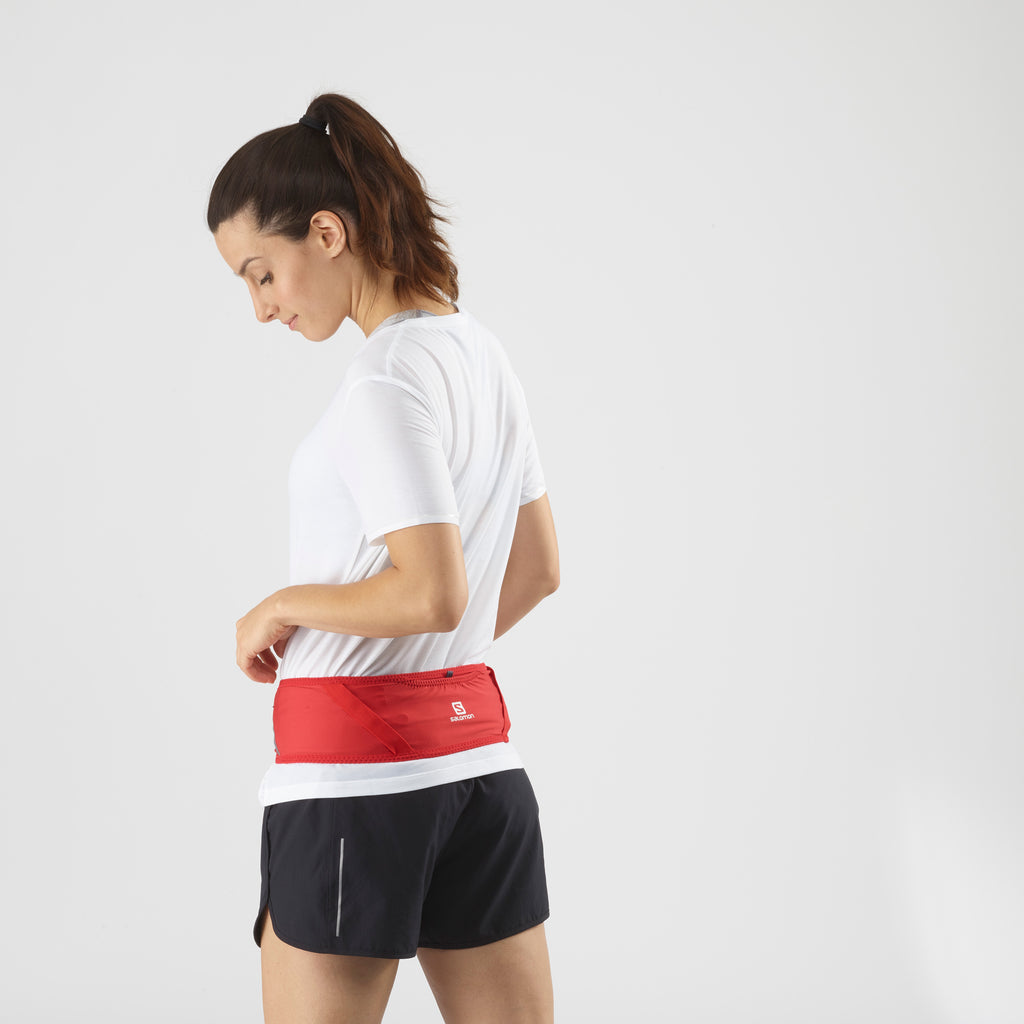 Pulse belt