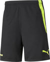 bvb training shorts
