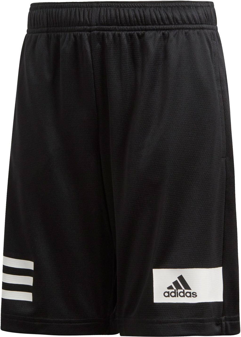 Cool kids short