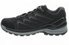 Ferrox Pro GTX Lo wandelschoenen