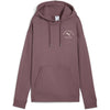 puma class relaxed hoodie fl