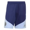 Ajax Amsterdam 26/27 Tiro26 Training Shorts