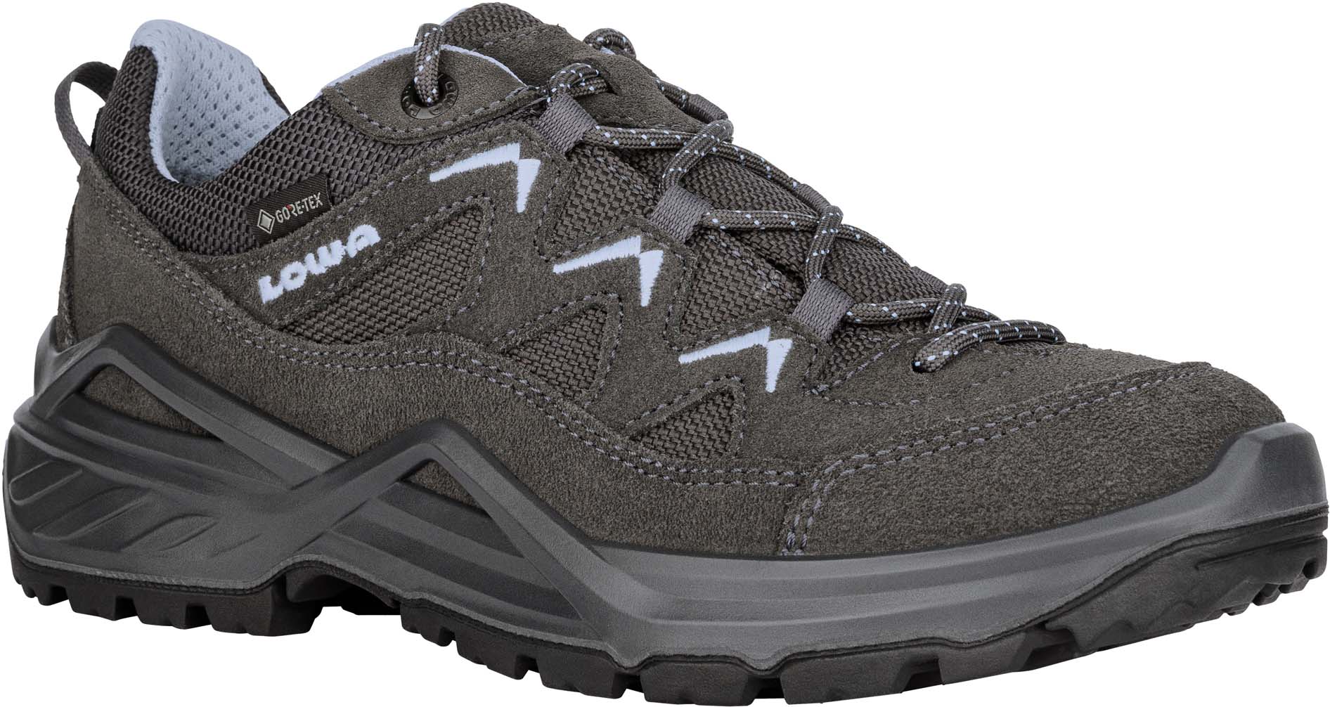 Sirkos Evo GTX Lo wandelschoenen