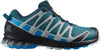 XA PRO 3D v8 GORE TEX