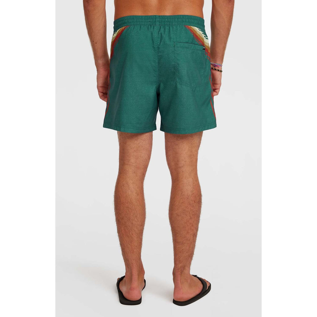 Originals Longboard 15 Zwemshort