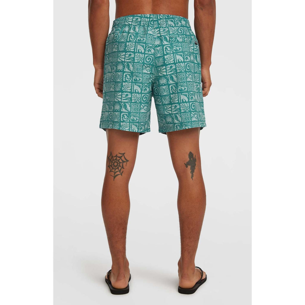 Print 16 Zwemshort