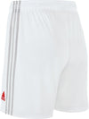 Ajax H Sho