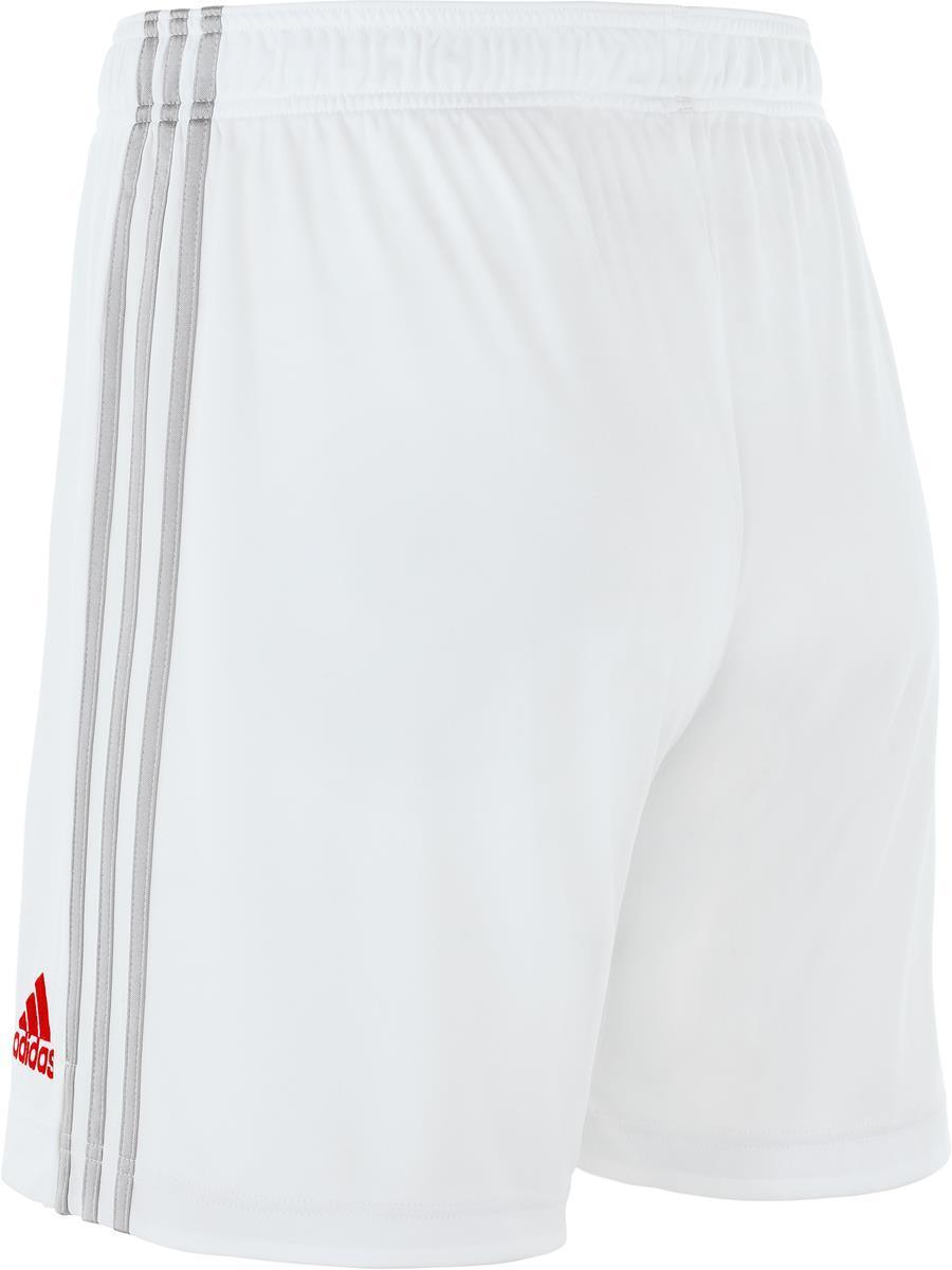 Ajax H Sho