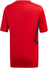 Arsenal FC training kids shirt