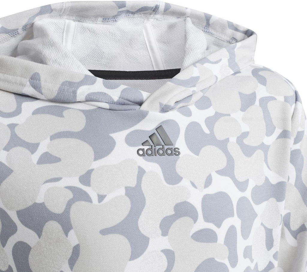 Future Icons 3-Stripes Graphic hoodie