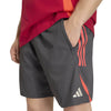 Liverpool FC Dt Training Shorts replica